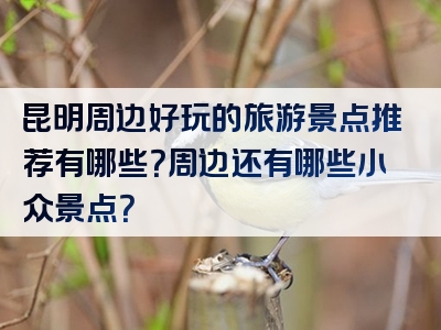 昆明周边好玩的旅游景点推荐有哪些？周边还有哪些小众景点？