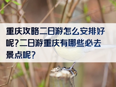 重庆攻略二日游怎么安排好呢？二日游重庆有哪些必去景点呢？