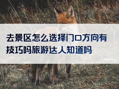 去景区怎么选择门口方向有技巧吗旅游达人知道吗
