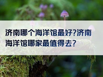 济南哪个海洋馆最好？济南海洋馆哪家最值得去？