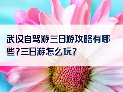 武汉自驾游三日游攻略有哪些？三日游怎么玩？