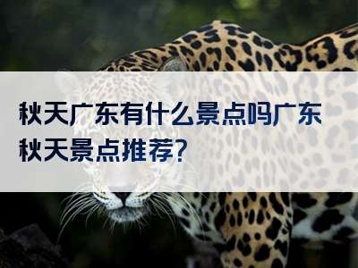 秋天广东有什么景点吗广东秋天景点推荐？