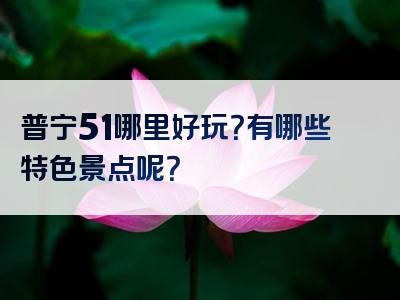 普宁51哪里好玩？有哪些特色景点呢？