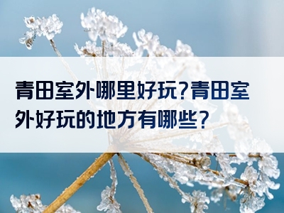 青田室外哪里好玩？青田室外好玩的地方有哪些？