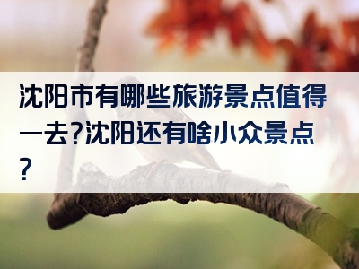 沈阳市有哪些旅游景点值得一去？沈阳还有啥小众景点？