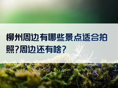柳州周边有哪些景点适合拍照？周边还有啥？