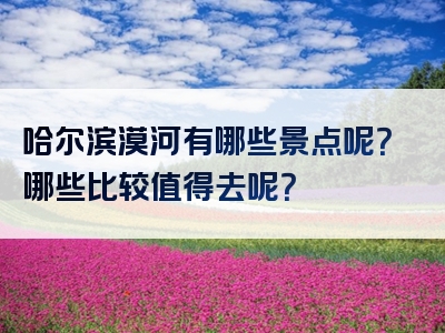 哈尔滨漠河有哪些景点呢？哪些比较值得去呢？