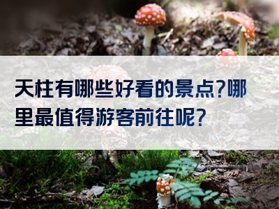 天柱有哪些好看的景点？哪里最值得游客前往呢？