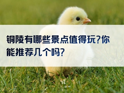 铜陵有哪些景点值得玩？你能推荐几个吗？