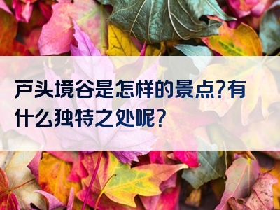 芦头境谷是怎样的景点？有什么独特之处呢？