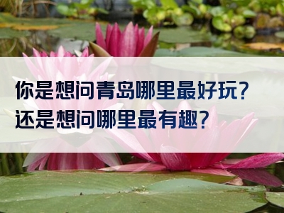 你是想问青岛哪里最好玩？还是想问哪里最有趣？