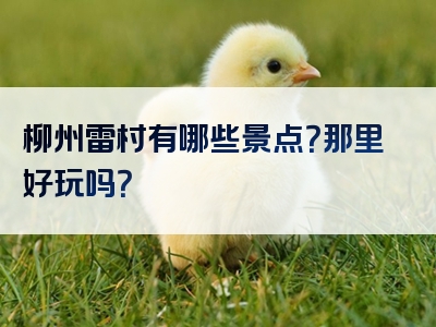 柳州雷村有哪些景点？那里好玩吗？