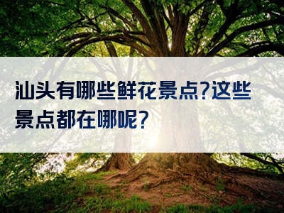 汕头有哪些鲜花景点？这些景点都在哪呢？