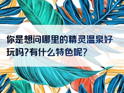 你是想问哪里的精灵温泉好玩吗？有什么特色呢？