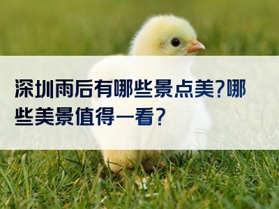 深圳雨后有哪些景点美？哪些美景值得一看？