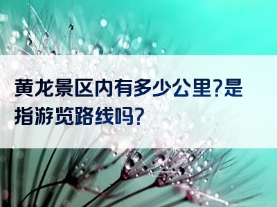 黄龙景区内有多少公里？是指游览路线吗？