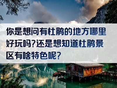 你是想问有杜鹃的地方哪里好玩吗？还是想知道杜鹃景区有啥特色呢？