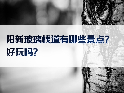 阳新玻璃栈道有哪些景点？好玩吗？