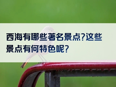 西海有哪些著名景点？这些景点有何特色呢？