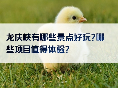 龙庆峡有哪些景点好玩？哪些项目值得体验？