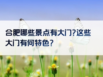 合肥哪些景点有大门？这些大门有何特色？