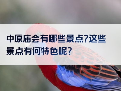中原庙会有哪些景点？这些景点有何特色呢？