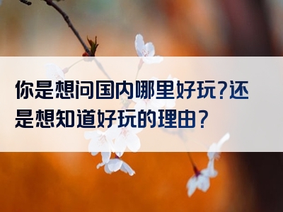 你是想问国内哪里好玩？还是想知道好玩的理由？