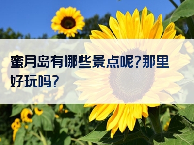 蜜月岛有哪些景点呢？那里好玩吗？