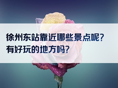 徐州东站靠近哪些景点呢？有好玩的地方吗？