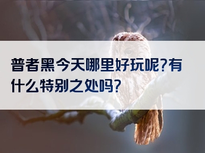 普者黑今天哪里好玩呢？有什么特别之处吗？