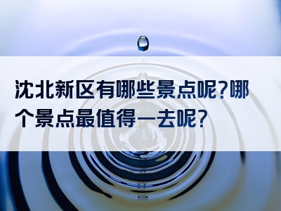 沈北新区有哪些景点呢？哪个景点最值得一去呢？