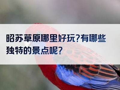 昭苏草原哪里好玩？有哪些独特的景点呢？