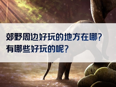 郊野周边好玩的地方在哪？有哪些好玩的呢？
