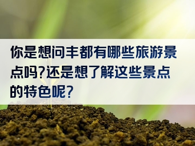 你是想问丰都有哪些旅游景点吗？还是想了解这些景点的特色呢？