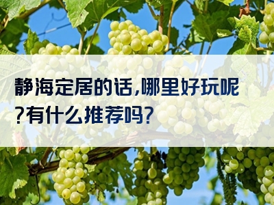 静海定居的话，哪里好玩呢？有什么推荐吗？