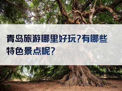 青岛旅游哪里好玩？有哪些特色景点呢？