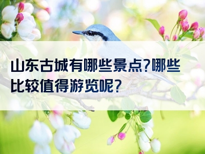 山东古城有哪些景点？哪些比较值得游览呢？
