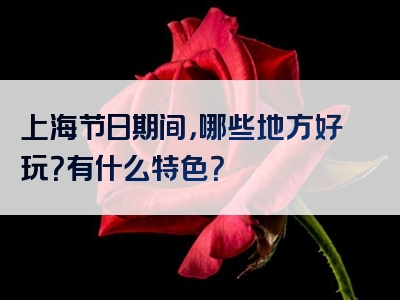 上海节日期间，哪些地方好玩？有什么特色？