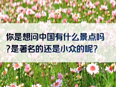 你是想问中国有什么景点吗？是著名的还是小众的呢？