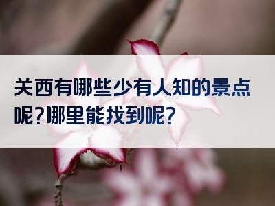 关西有哪些少有人知的景点呢？哪里能找到呢？