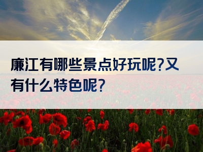廉江有哪些景点好玩呢？又有什么特色呢？