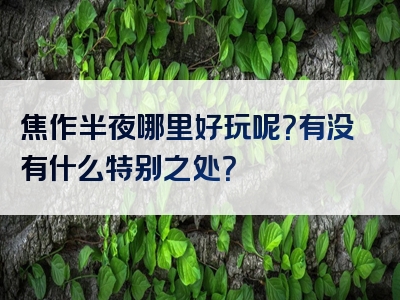 焦作半夜哪里好玩呢？有没有什么特别之处？