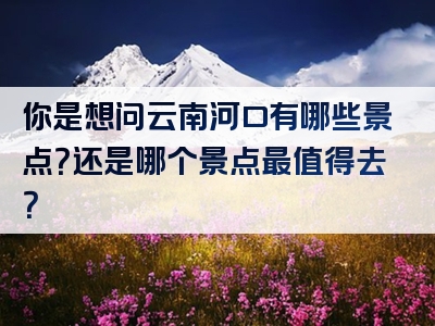 你是想问云南河口有哪些景点？还是哪个景点最值得去？