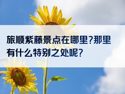 旅顺紫藤景点在哪里？那里有什么特别之处呢？