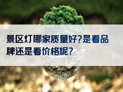 景区灯哪家质量好？是看品牌还是看价格呢？