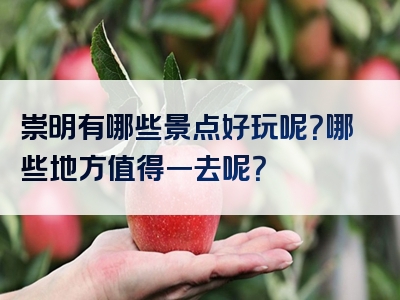 崇明有哪些景点好玩呢？哪些地方值得一去呢？