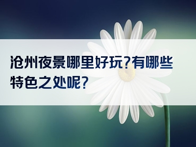 沧州夜景哪里好玩？有哪些特色之处呢？