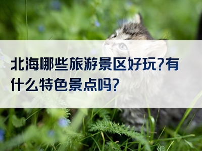 北海哪些旅游景区好玩？有什么特色景点吗？