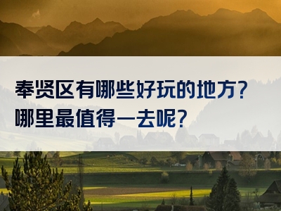 奉贤区有哪些好玩的地方？哪里最值得一去呢？
