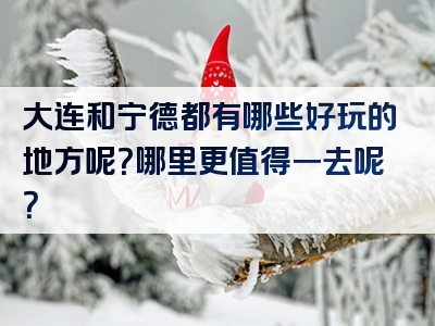 大连和宁德都有哪些好玩的地方呢？哪里更值得一去呢？